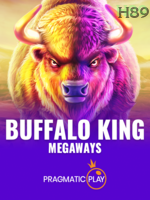 Buffalo King