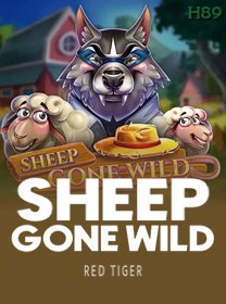 Sheep Gone Wild
